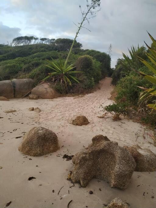 Apto 80M Da Praia Grande Vista Mar! Governador Celso Ramos Dış mekan fotoğraf